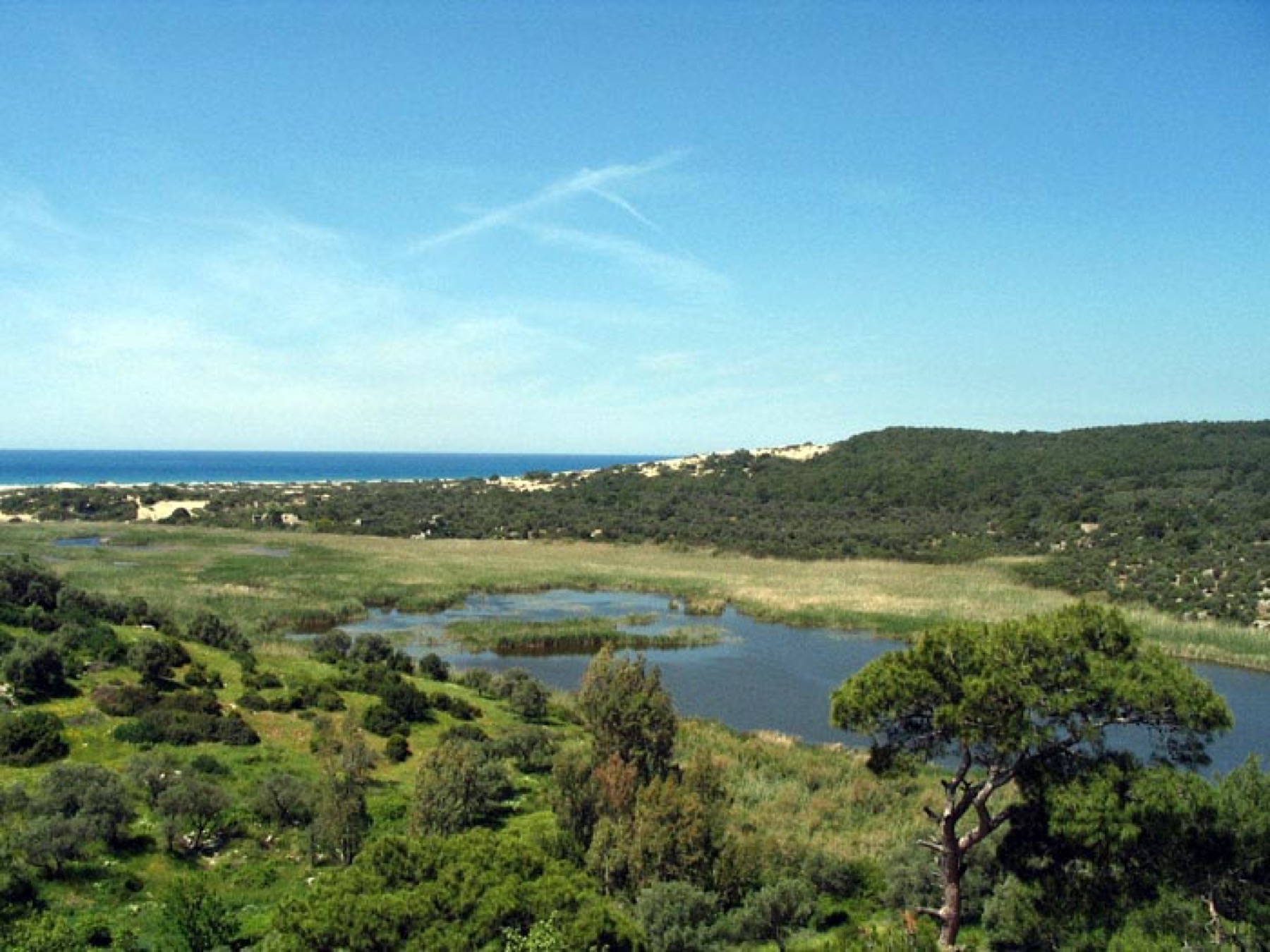 Patara'da doğal yaşam